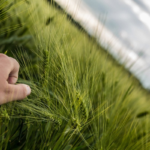 Kongress: Zukunftsfähige Ernährungssysteme